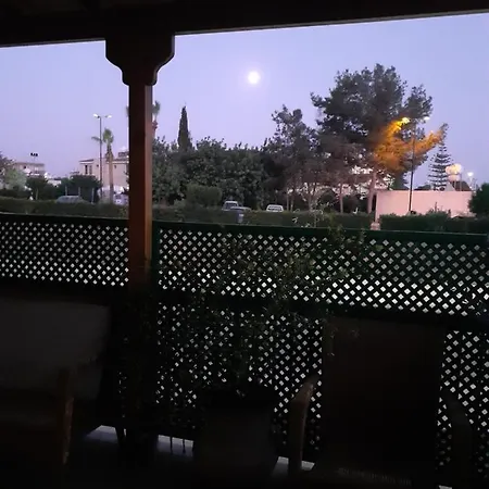Yiota's Cute * Pafos
