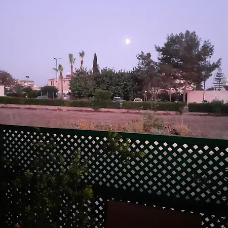 Yiota's Cute Paphos